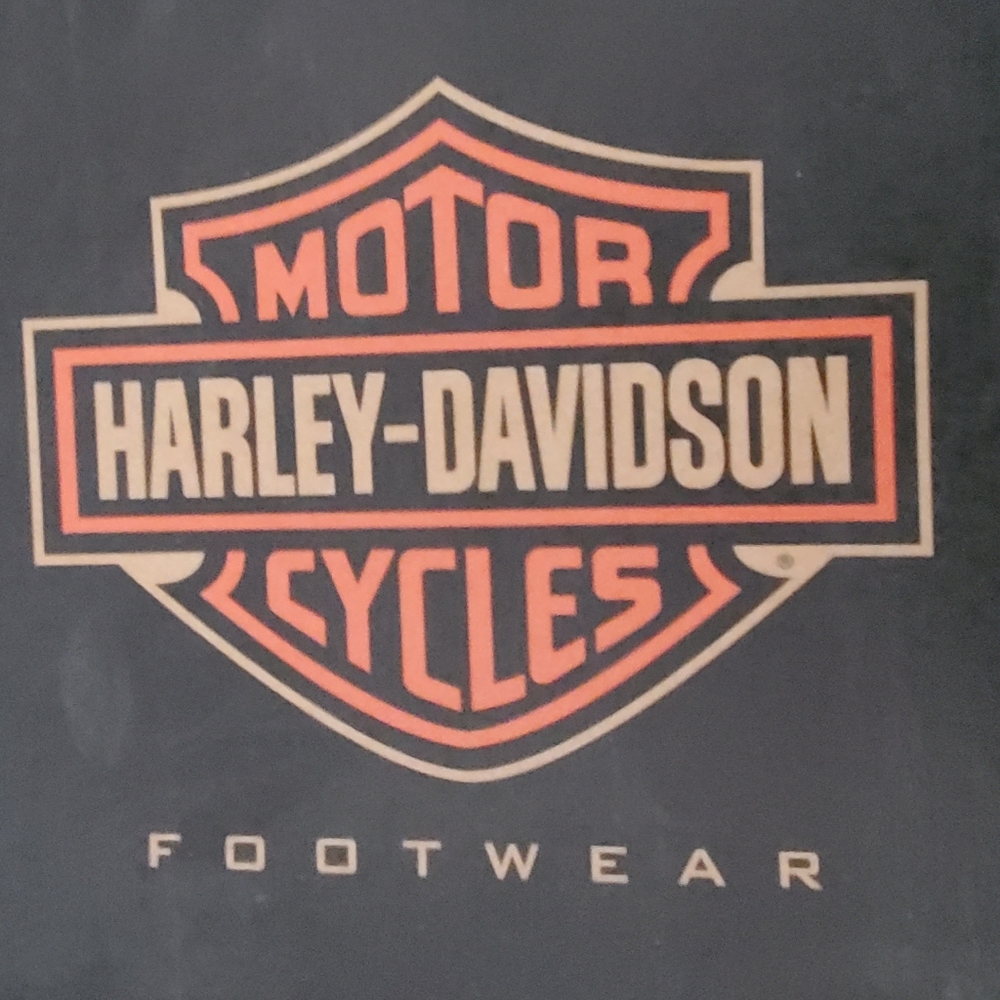 BNIB (no tags) Harley Davidson skull boots